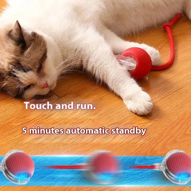 Automatic Rolling Cat Toy Ball with Smart Sensor