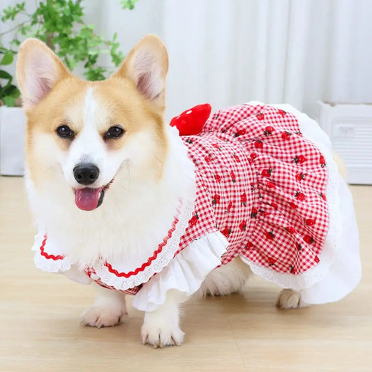 Strawberry Pet Dress for Dogs and Cats