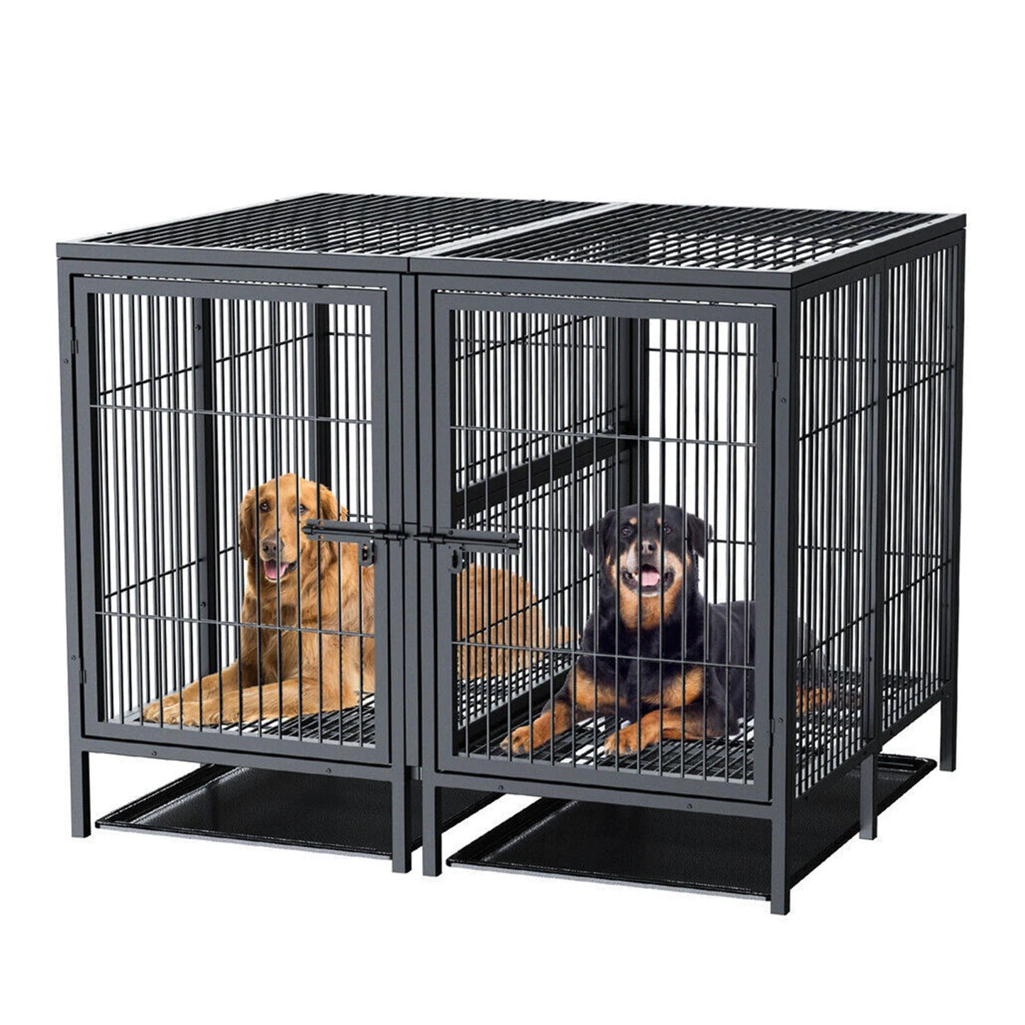 Heavy-Duty Metal Dog Crate with Removable Tray