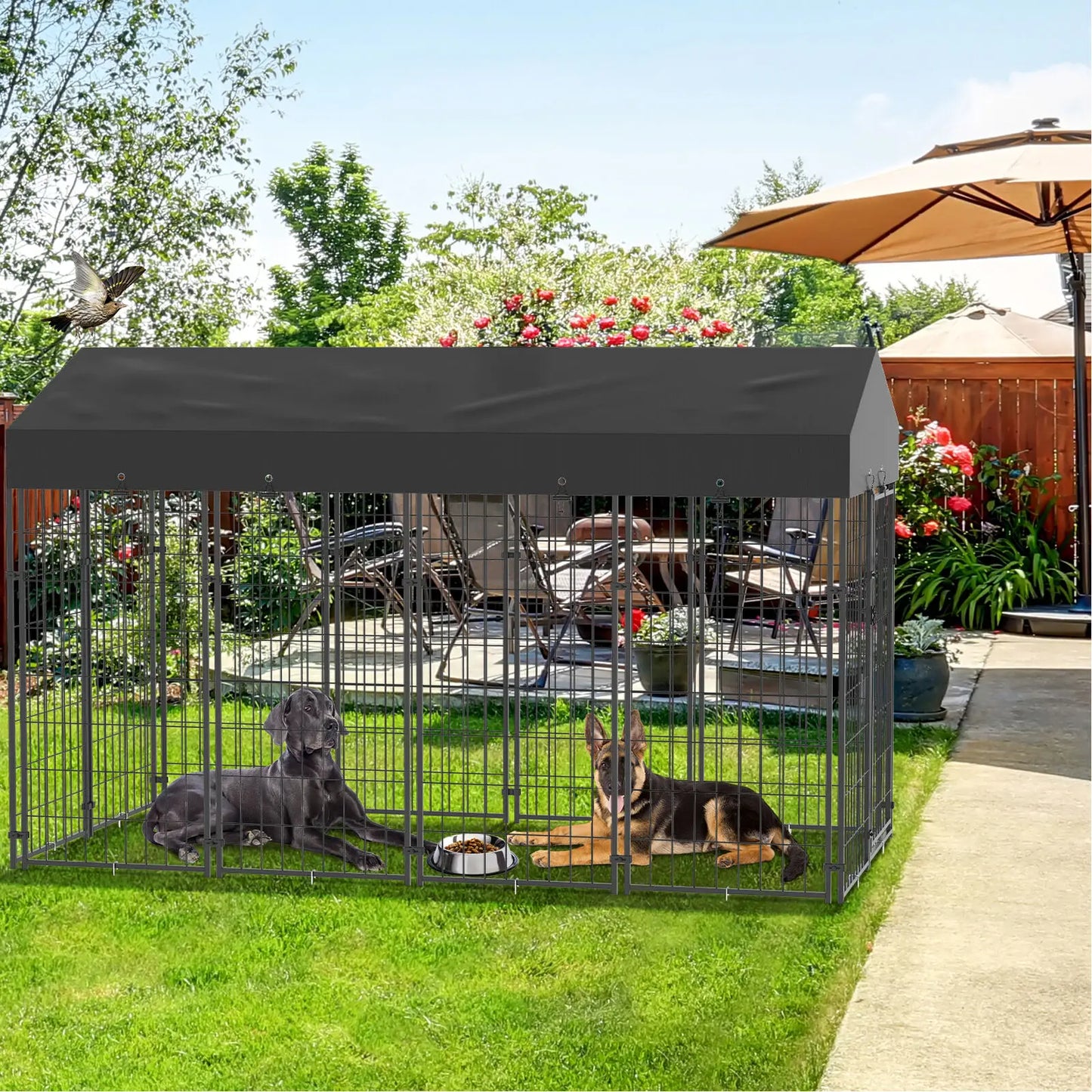 Outdoor Dog Kennel and Playpen with Roof