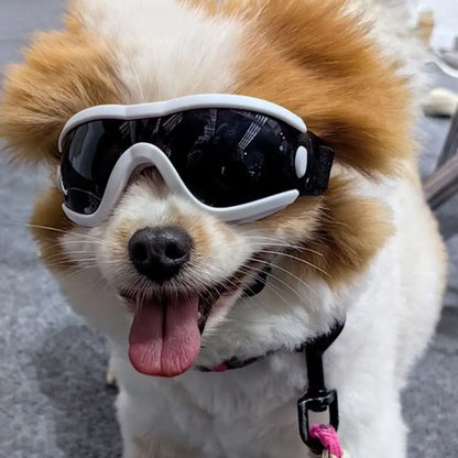 UV-Resistant Dog Goggles for Outdoor Protection